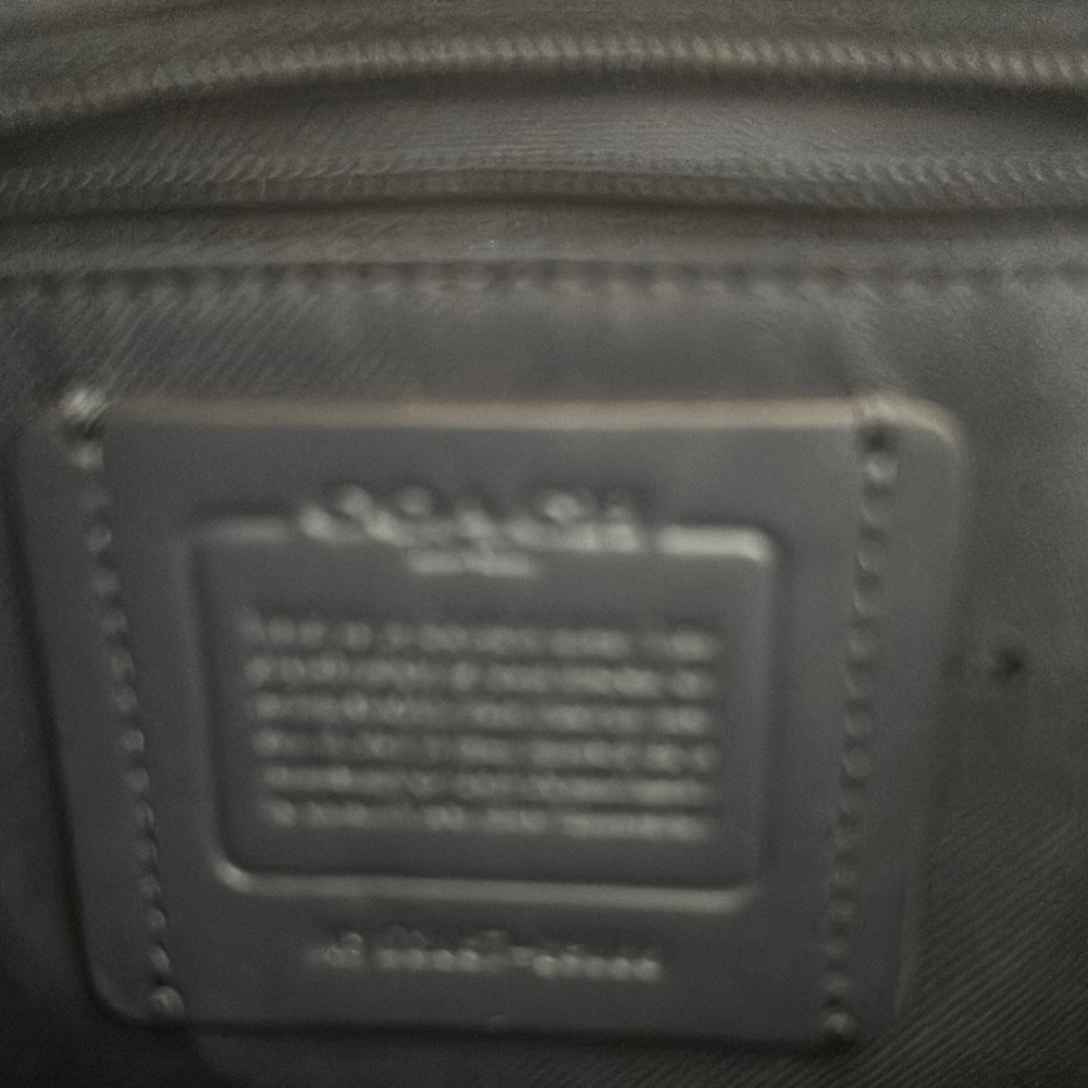 Coach Cassie 19 Pine/Gunmetal Aurora Multi Crossbody Bag - Picture 6 of 9